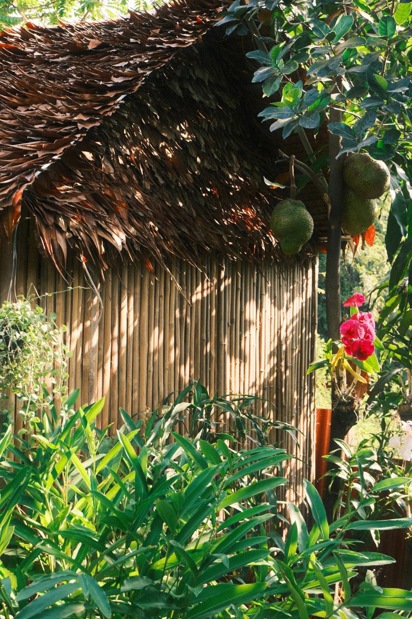 Siem Reap Homesteading II Exterior foto