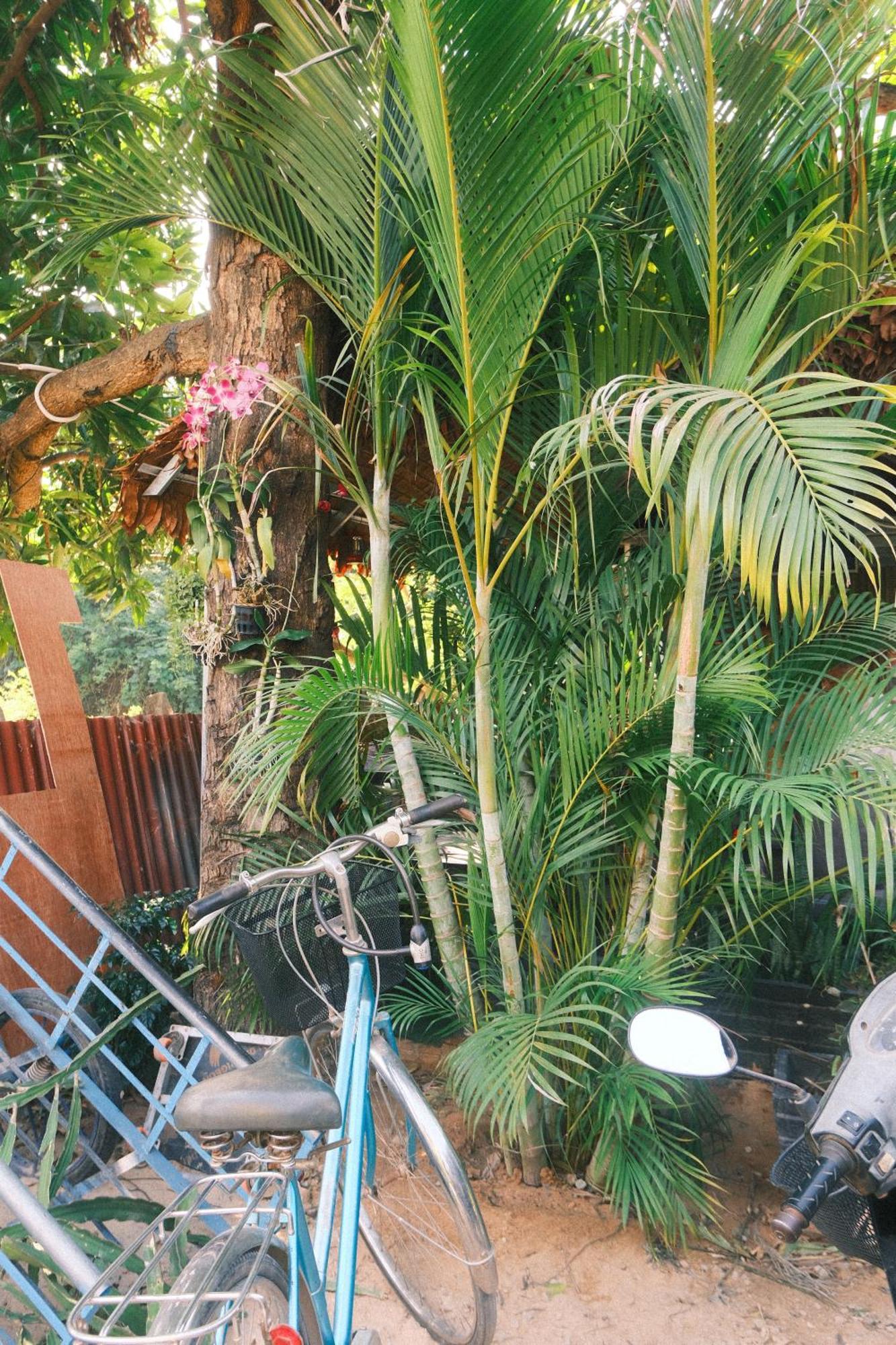 Siem Reap Homesteading II Exterior foto
